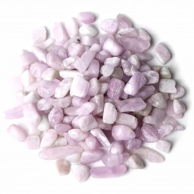 copy of 